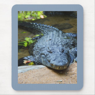 Crocodile Mouse Pad