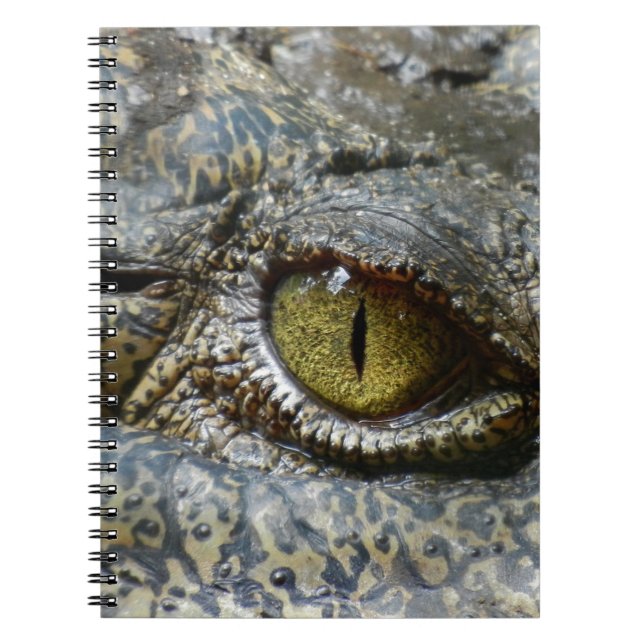 crocodile  notebook (Front)