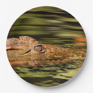 Crocodile Paper Plates