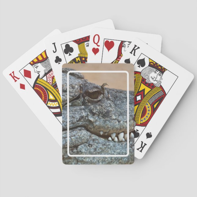 Crocodile Playing Cards (Back)