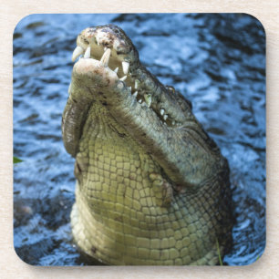 Crocodile Teeth Water Coaster