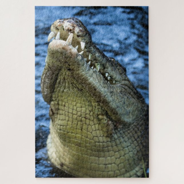 Crocodile Teeth Water Jigsaw Puzzle (Vertical)