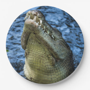 Crocodile Teeth Water Paper Plate