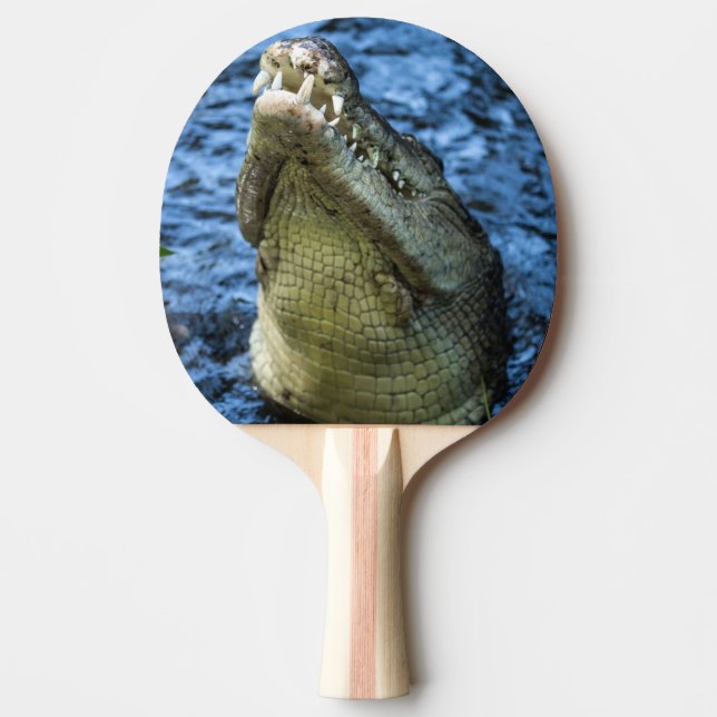 Crocodile Teeth Water Ping Pong Paddle (Front)