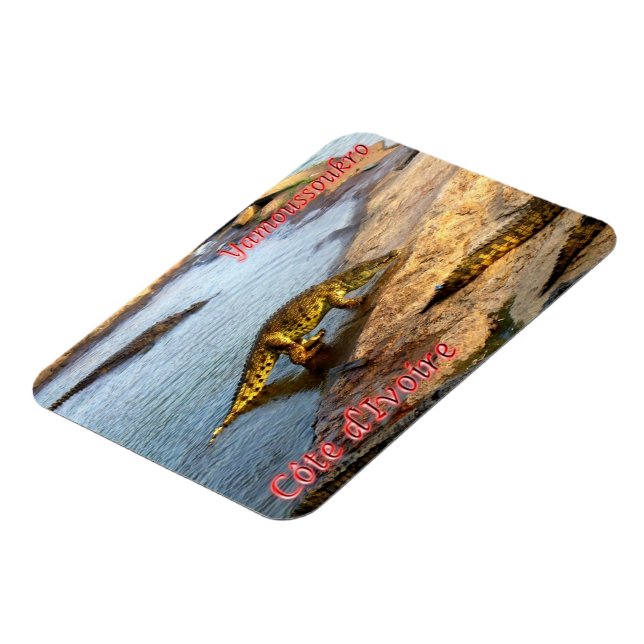 Crocodile walking - magnet (Left Side)