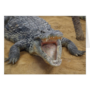 Crocodile with Jaws Wide Open Close-up