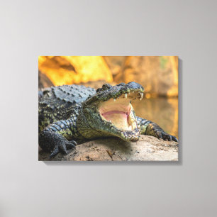 Crocodile with open mouth canvas print
