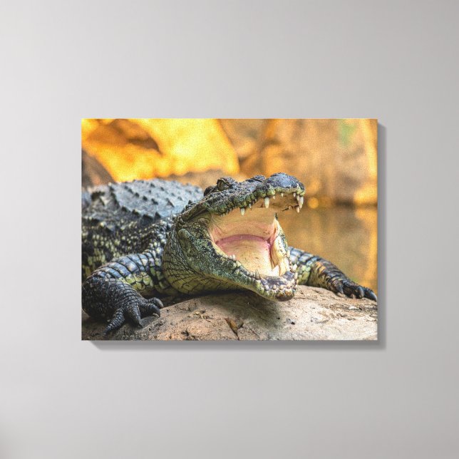Crocodile with open mouth canvas print (Front)
