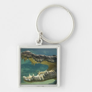 Crocodiles open mouth key ring