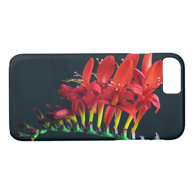 Crocosomia Lucifer Montbretia Floral Case-Mate iPhone Case (Back (Horizontal))