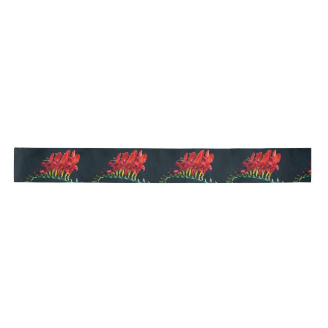 Crocosomia Lucifer Montbretia Floral Satin Ribbon (Front)