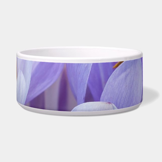 Crocus (Front)