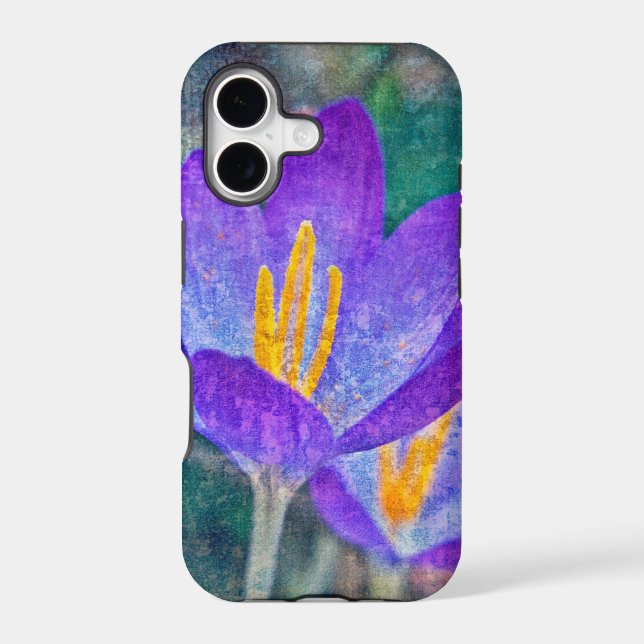 Crocus (Back)