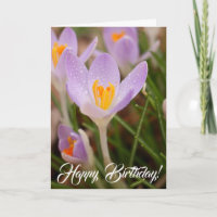 Crocus Birthday Blessings