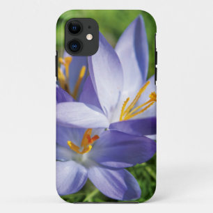 Crocus Case-Mate iPhone Case