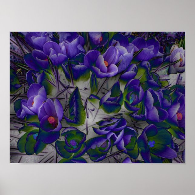 Crocus Cloud Pattern Poster (Front)