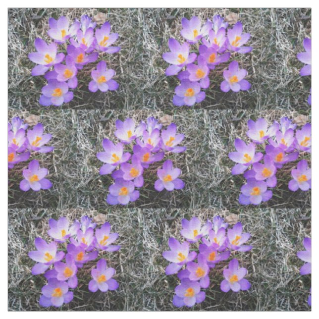 CROCUS FIRST SIGNS OF SPRING fabric (Swatch)