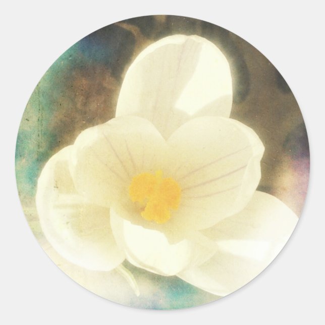 Crocus Flower Grunge Classic Round Sticker (Front)