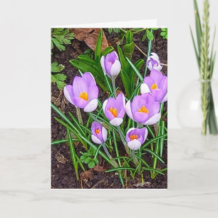 Crocus Flower Happy Easter Card