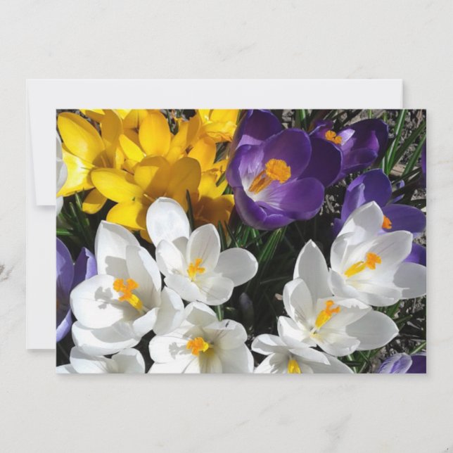 Crocus Flower Mix Floral Thank You Card (Front)