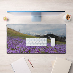 Crocus flowers at Velika Planina, Slovenia Desk Mat
