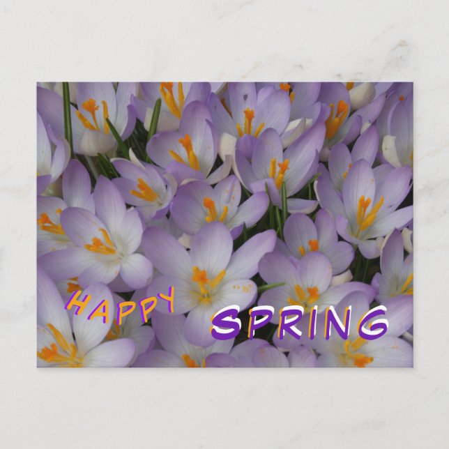 Crocus Flowers Pattern Happy Spring Postcard (Front)