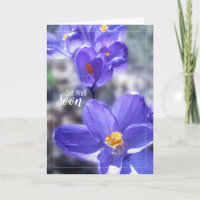 Crocus Get Well Soon Photo
