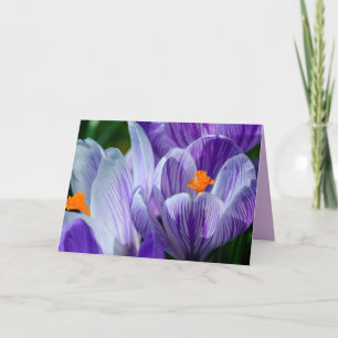 crocus greeting card