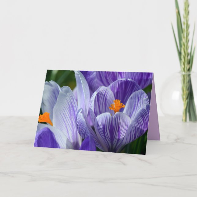 crocus greeting card (Front)