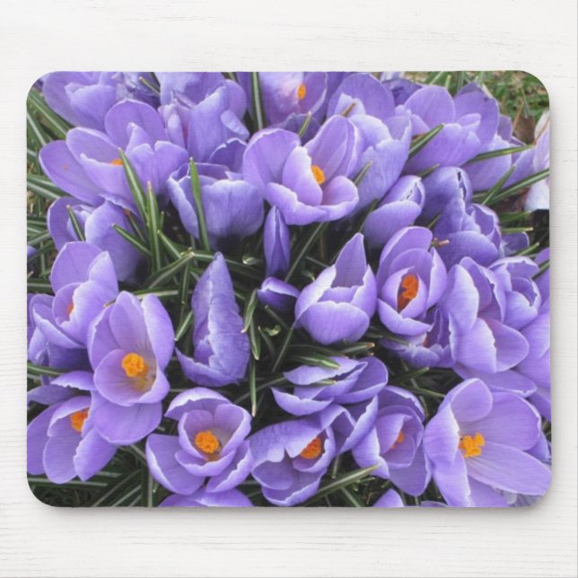 Crocus mousepad (Front)