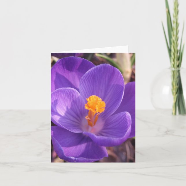 Crocus Note Card (Front)