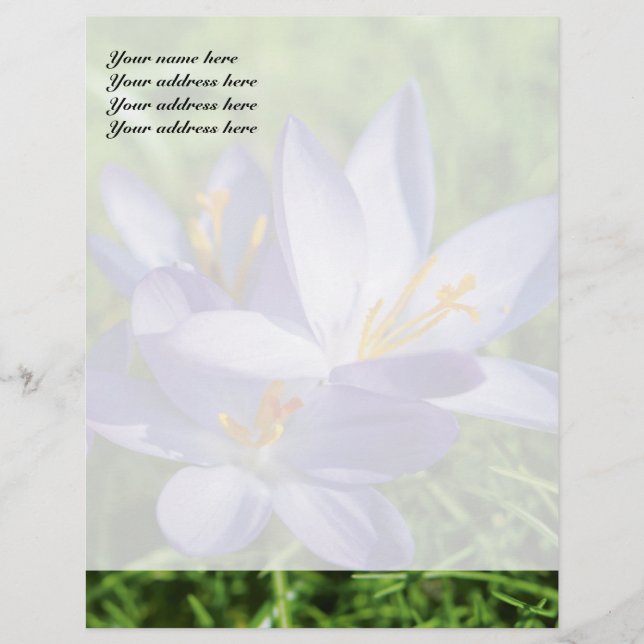 Crocus Personalized Letterhead (Front)