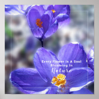 Crocus Purple Photo Quote