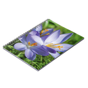 Crocus Spiral Notebook