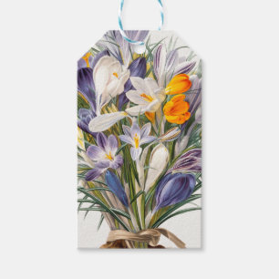 Crocus Spring Flower Botanical Floral Art Gift Tags