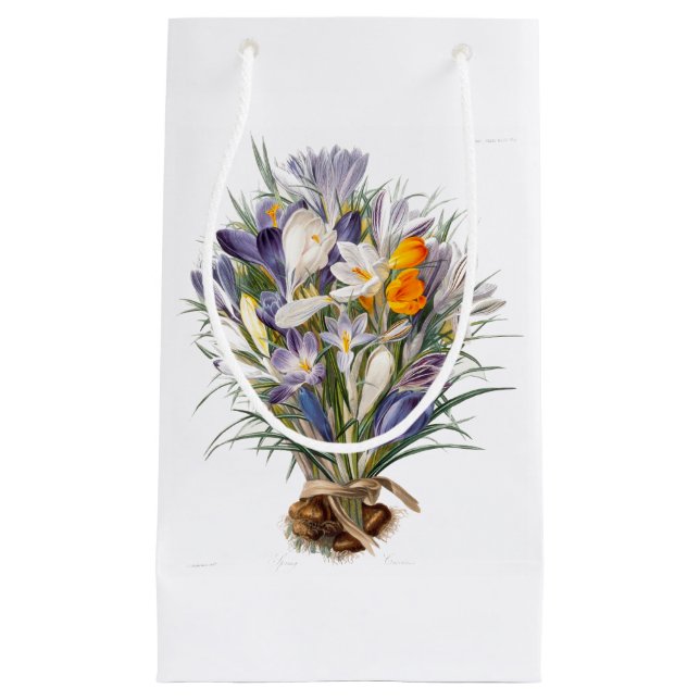 Crocus Spring Flower Botanical Floral Art Small Gift Bag (Front)