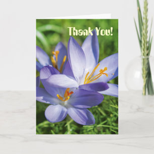 Crocus Thank You Card