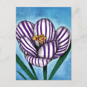 Crocus Will Preen Postcard