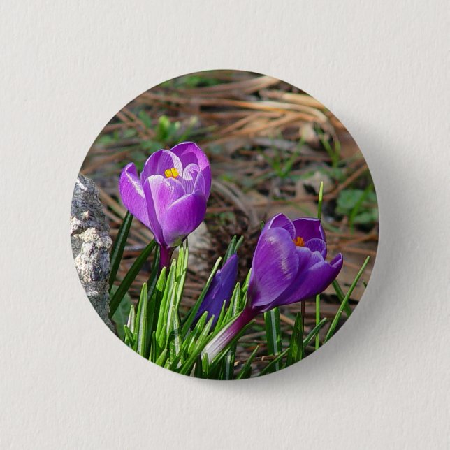 Crocuses in Bloom Button (Front)