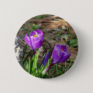Crocuses in Bloom Button