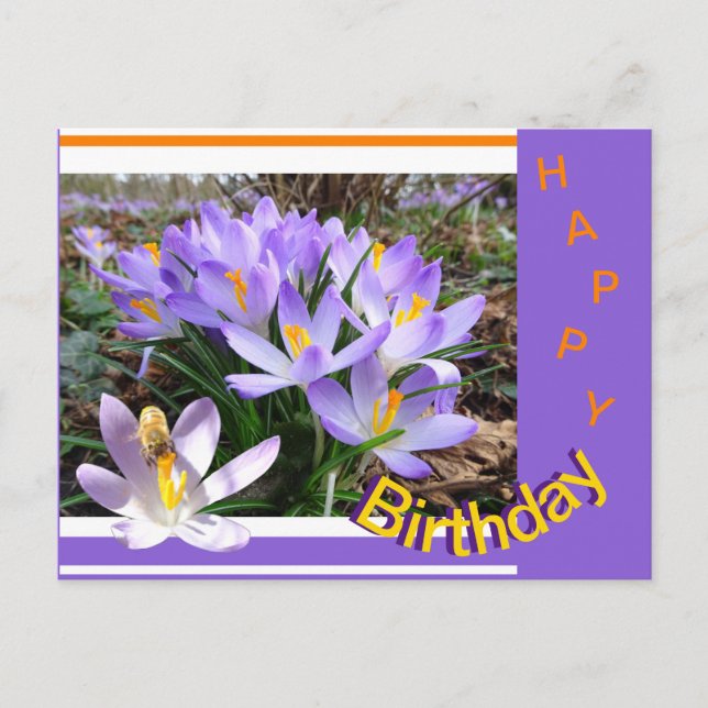 Crocusses with Bee Happy Birthday Postcard (Front)