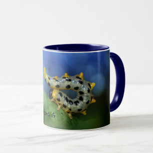 Croesus septentrionalis mug