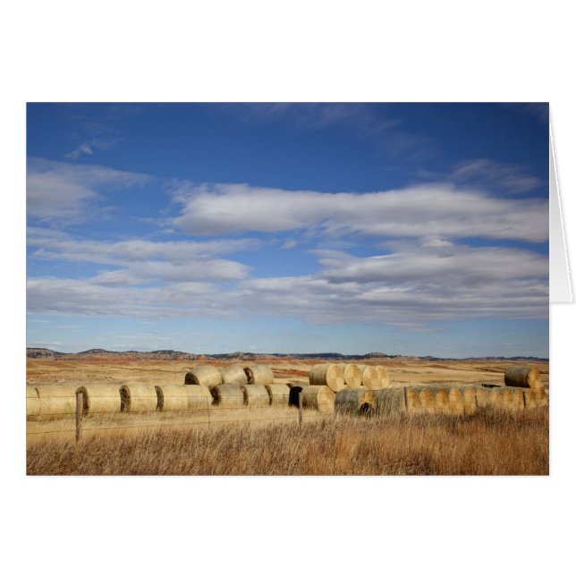 Crook County, Hay Bales (Front Horizontal)