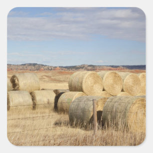 Crook County, Hay Bales 2 Square Sticker