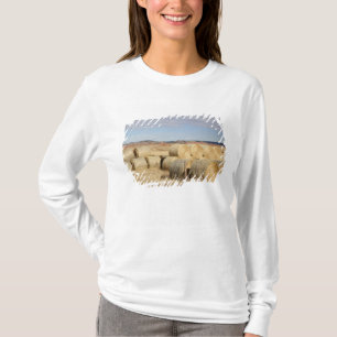 Crook County, Hay Bales T-Shirt