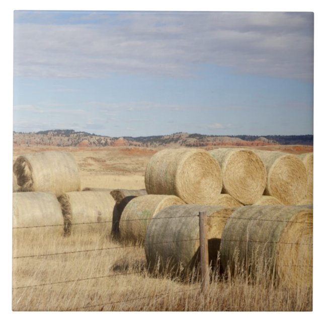 Crook County, Hay Bales Tile (Front)