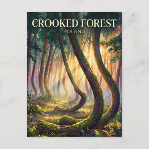 Crooked Forest Poland Postcard