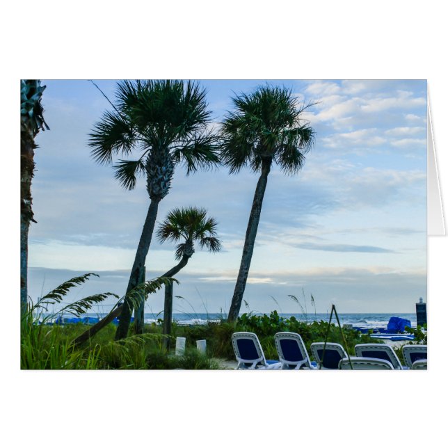 Crooked Palm Trees (Front Horizontal)