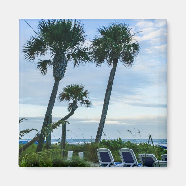 Crooked Palm Trees Magnet (Front)