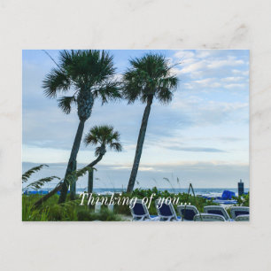 Crooked Palm Trees Thinking Of You Postcard